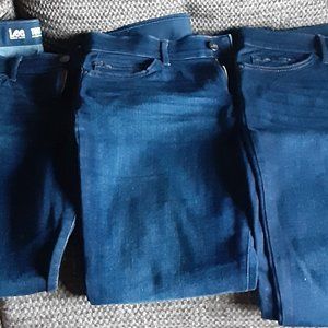 Lee Women's Flex Motion Straight Leg Jeans-3 Pairs